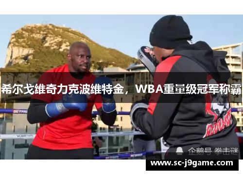 希尔戈维奇力克波维特金,WBA重量级冠军称霸 希尔戈维奇力克波维特金,WBA重量级冠军称霸