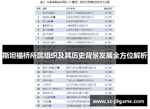 斯坦福桥所属组织及其历史背景发展全方位解析