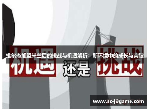 维尔杰加盟米兰后的挑战与机遇解析：新环境中的成长与突破