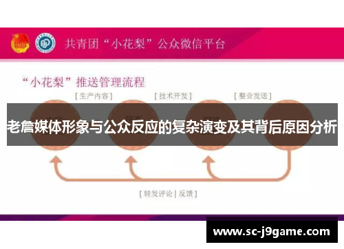 老詹媒体形象与公众反应的复杂演变及其背后原因分析